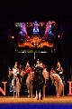 Cavalry - 00389